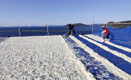 冬空の下広がる白いじゅうたん！冷たい海風で乾燥させるゆで干し大根づくり　長崎県西海市