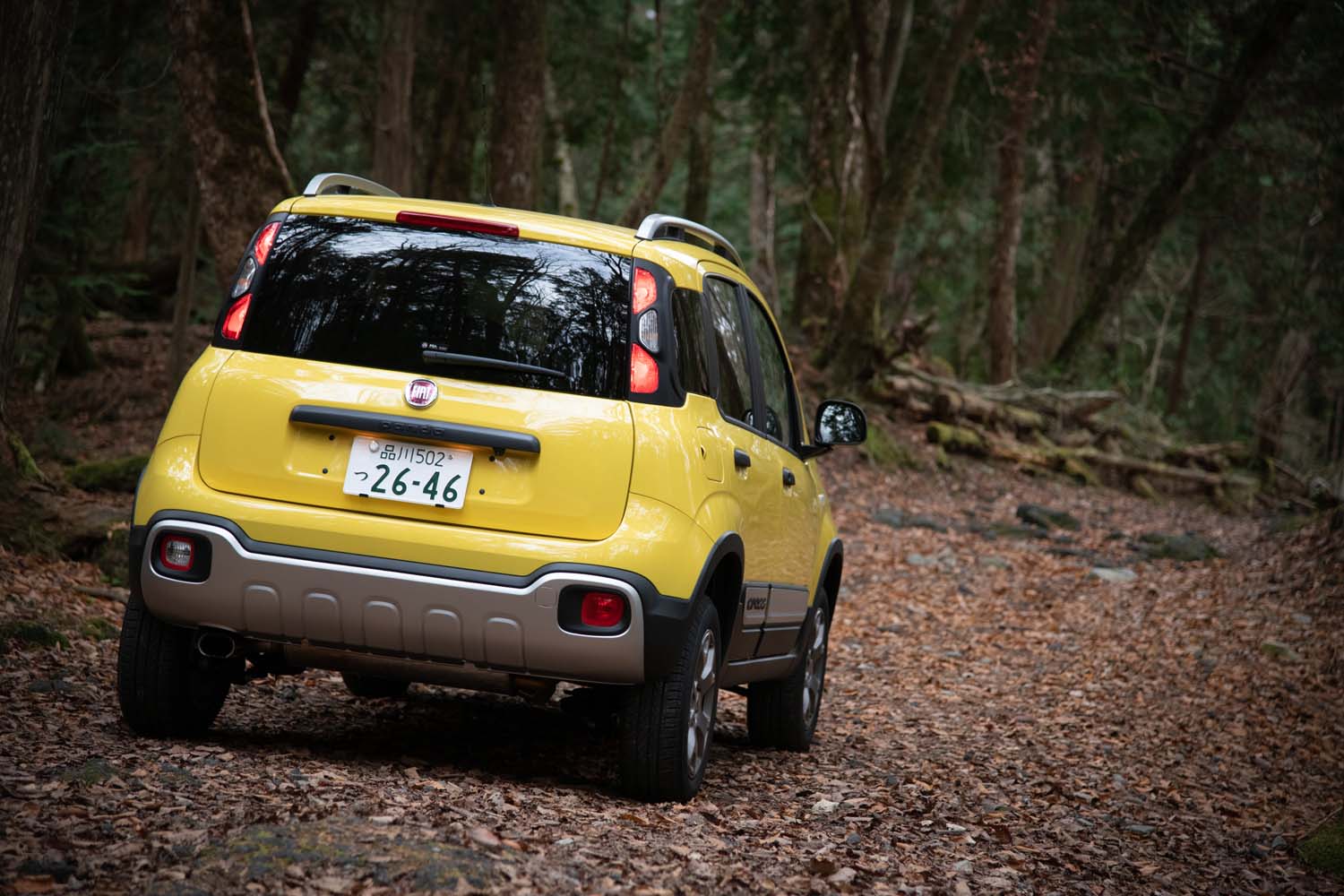 ボディーカラーは「パンダ クロス4×4」専用の「パステルイエロー」。紅葉が進んだ林道によく映える。