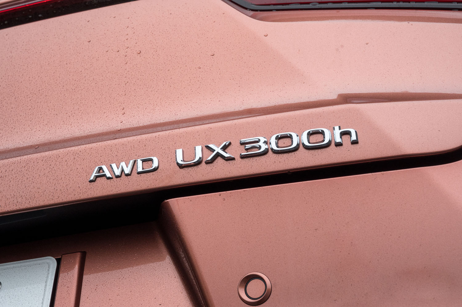 ハイブリッドモデルはパワートレインの刷新によって「UX250h」から「UX300h」に車名が変わっている。今回は“バージョンL”の4WD車に試乗した。