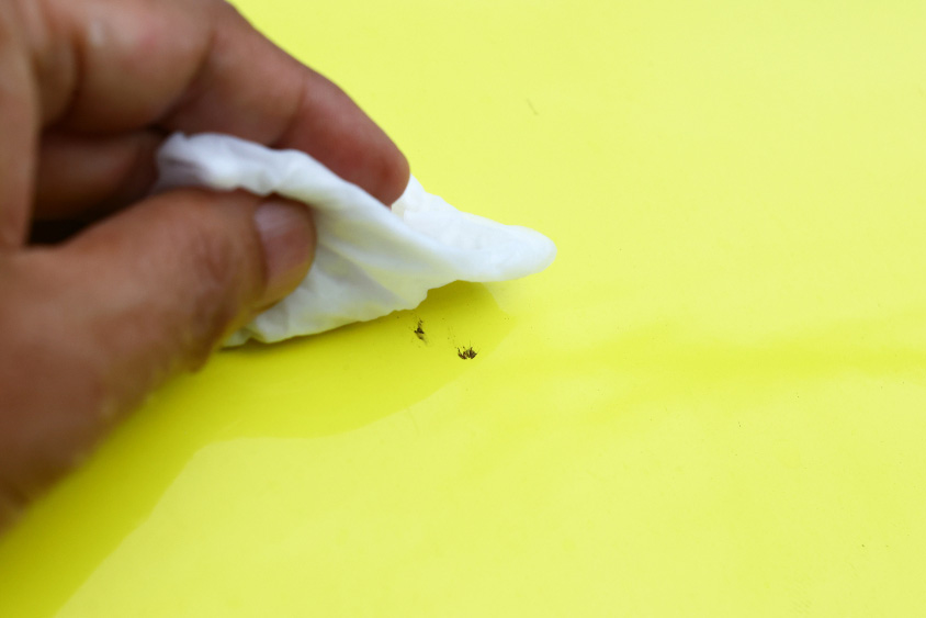ボディについた虫の跡の取り方