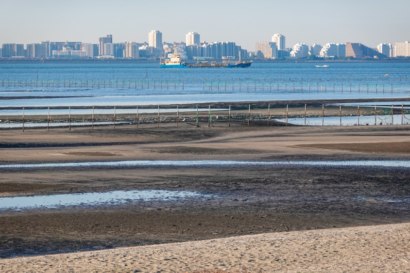 船橋市周辺の東京湾沿いに広がる三番瀬