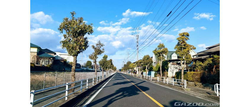 黄色い実線の中央線