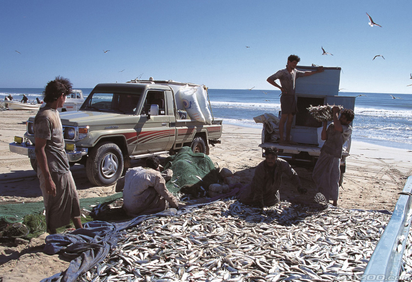 ランドクルーザーとオマーンの港町の様子