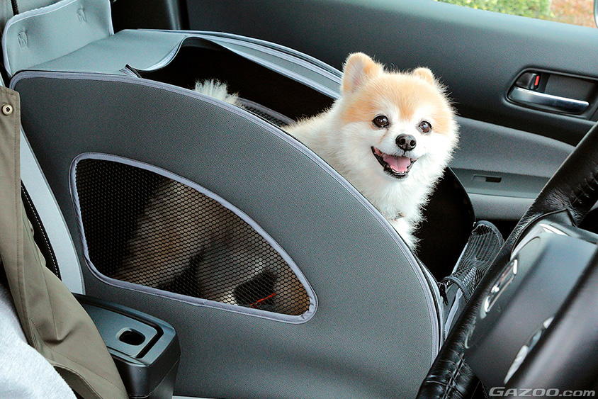 ホンダアクセスのHonda Dogシリーズのペットキャリー