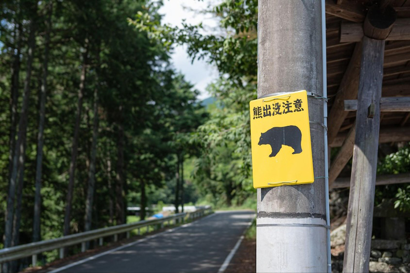 クマ出没喚起イメージ