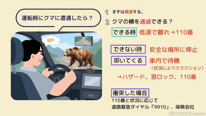 クマに遭遇した際の動向まとめ