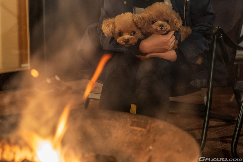 愛犬とグランピングイメージ