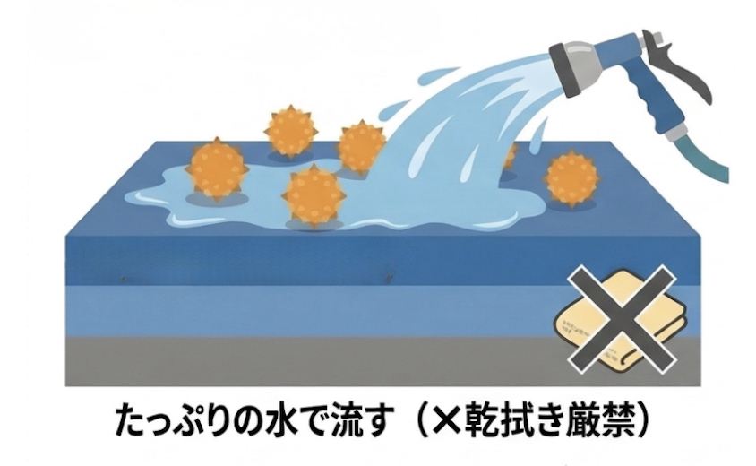 花粉付着時の洗車01