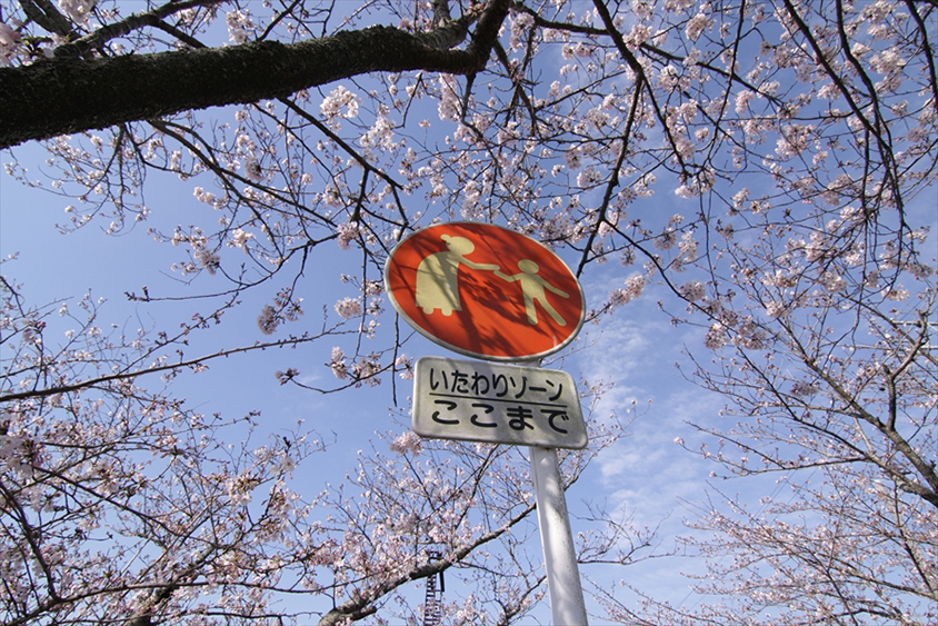 いたわり さわやか に 鹿 も 全国にある交通安全対策 ゾーン トヨタ自動車のクルマ情報サイト Gazoo いたわり さわやか に 鹿 も 全国にある交通安全対策 ゾーン トヨタ自動車のクルマ情報サイト Gazoo