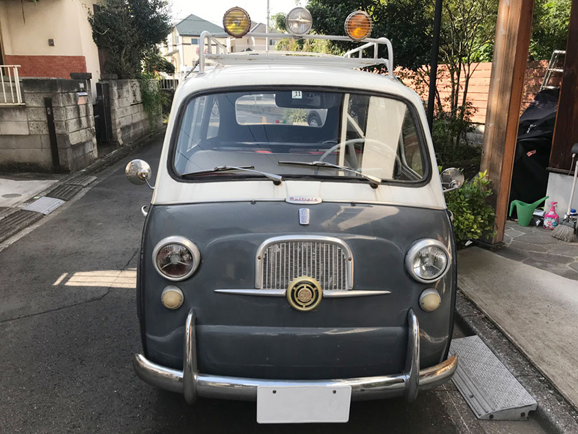 ムルティプラの前からの姿。顔もかわいらしい