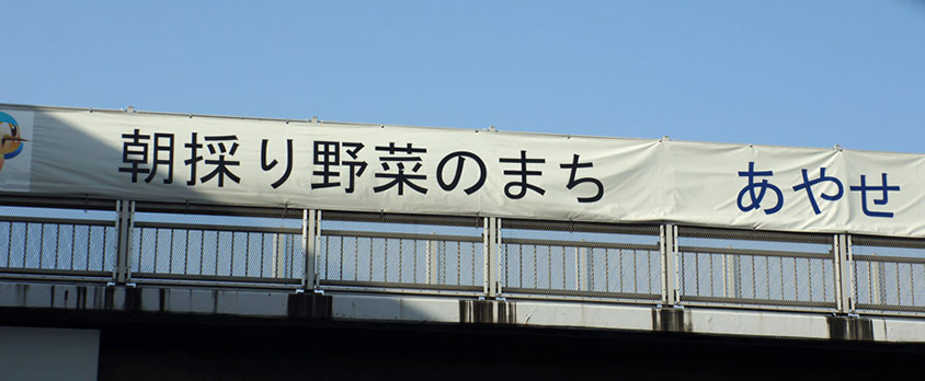 綾瀬市の横断幕「朝採り野菜編」