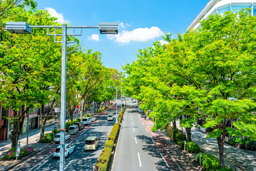表参道ケヤキ並木道も令和2年度の選奨土木遺産に選定された