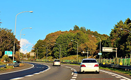 意外と知らない、道路交通法違反