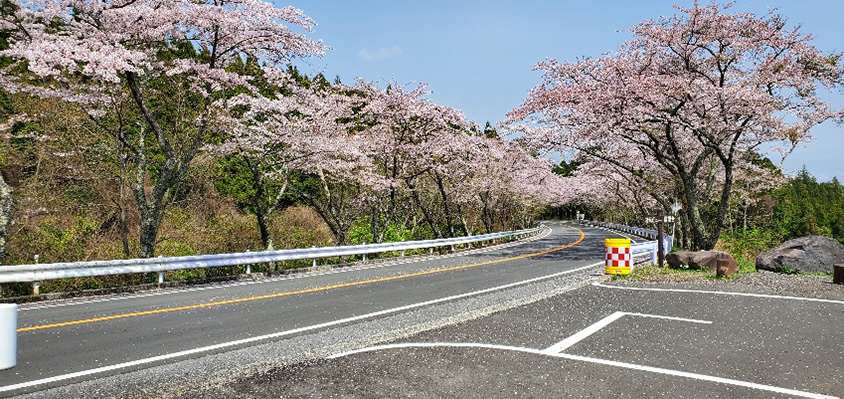 進路変更に関する道路標示を正しく理解していますか 2021年に増えた新たな表示も解説 トヨタ自動車のクルマ情報サイト Gazoo