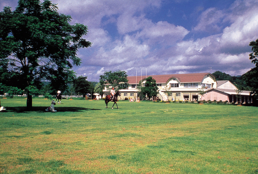 おとなしい気性のポニーの引き馬なら、子どもも安心。