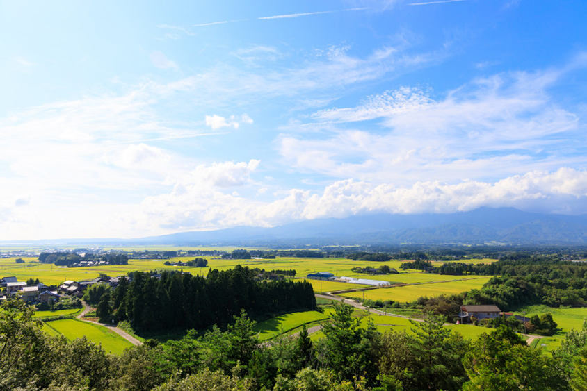 屋上テラスからは、佐渡の自然豊かな里山や両津湾から真野湾までを一望できる。