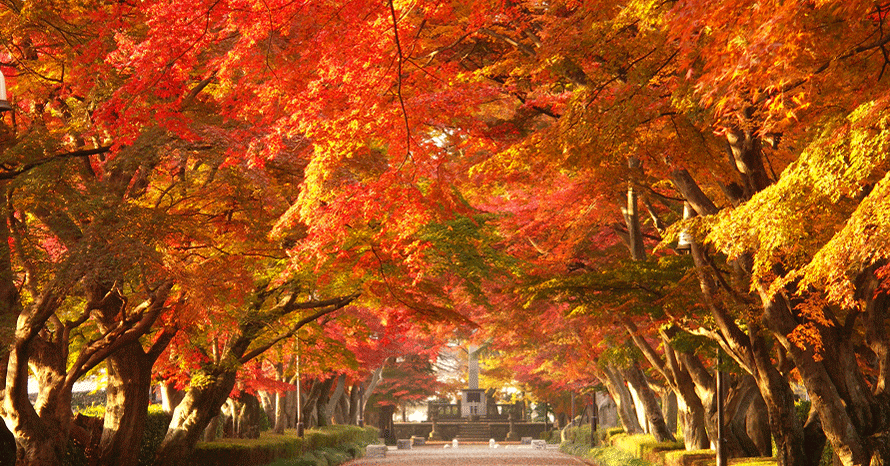 明治期 大村造 金彩赤色絵『紅葉文』オールドデミタスセット 里帰り☆美品