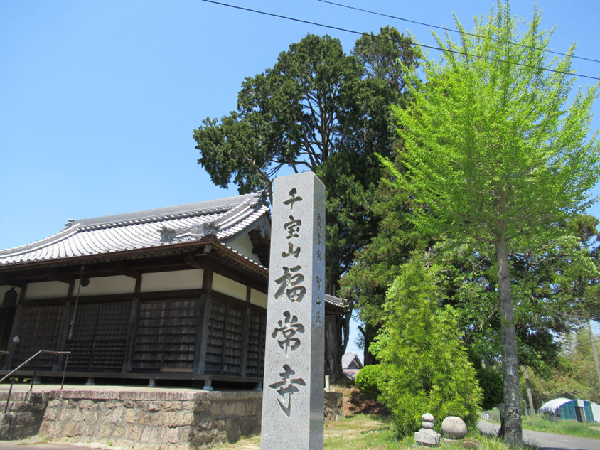 福常寺の本堂。本堂の裏手にヒノキの巨木がある。