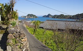 野間ツツジも見頃！圧巻の石垣群や断崖奇岩が続く絶景ロードへドライブ 鹿児島県笠沙町 | クルマ情報サイトｰGAZOO.com