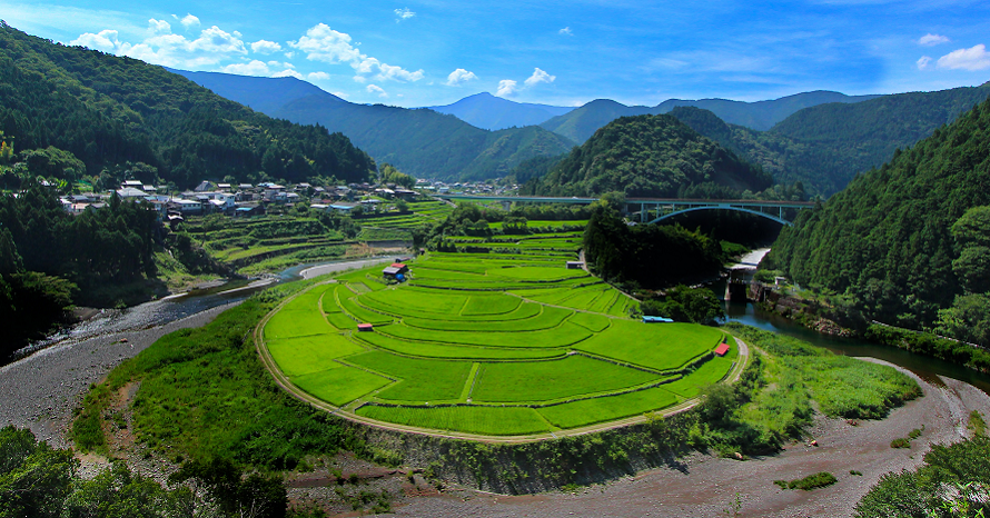 戸倉上山田メダル 緑色の山と川の風景 緑がまぶしい絶景棚田！町のシンボル、あらぎ島へドライブ 和歌山県