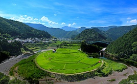 緑がまぶしい絶景棚田！町のシンボル、あらぎ島へドライブ　和歌山県有田川町