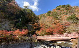 温泉と静岡おでんと手打ちそば！紅葉が見頃を迎える秘境をドライブ　静岡市葵区梅ヶ島