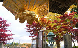 近くには絶景を望む山カフェも！紅葉の能勢妙見山へドライブ　大阪府能勢町