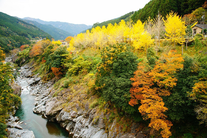 奥伊勢湖畔に広がる紅葉スポット もみじの里公園へドライブ 三重県大台町 トヨタ自動車のクルマ情報サイト Gazoo 奥伊勢湖畔に広がる紅葉スポット もみじの里公園へドライブ 三重県大台町 トヨタ自動車のクルマ情報サイト Gazoo