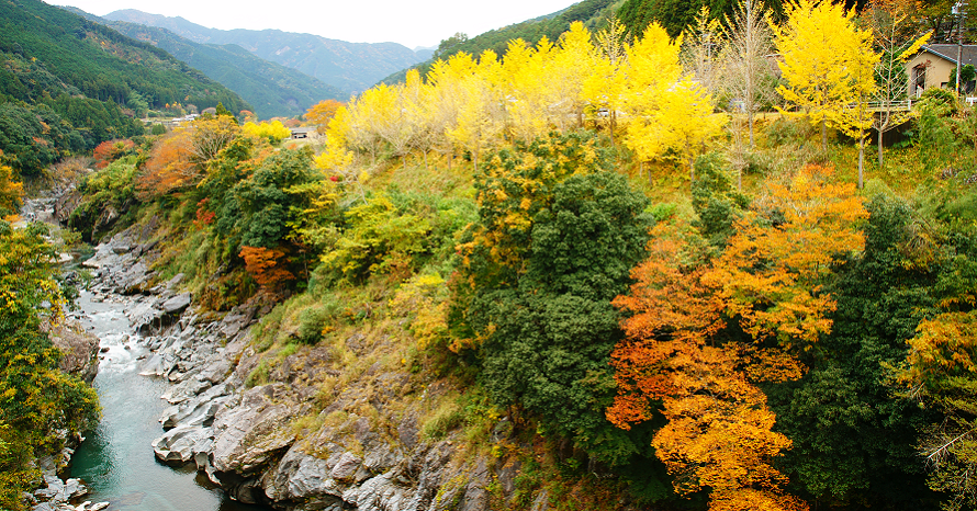 奥伊勢湖畔に広がる紅葉スポット！もみじの里公園へドライブ 三重県大
