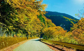 知る人ぞ知る秘境！元日本一のミニ村・富山へドライブ　愛知県豊根村