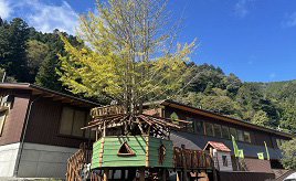 木にふれながら森の恵みを体感！「檜原 森のおもちゃ美術館」へ行こう　東京都檜原村
