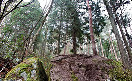 人気漫画の名場面を連想！？山に鎮座する神秘の割石　島根県邑南町