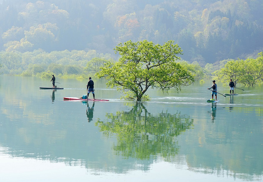 ひと月だけ現れる神秘の光景！絵のように幻想的な白川湖の水没林 山形