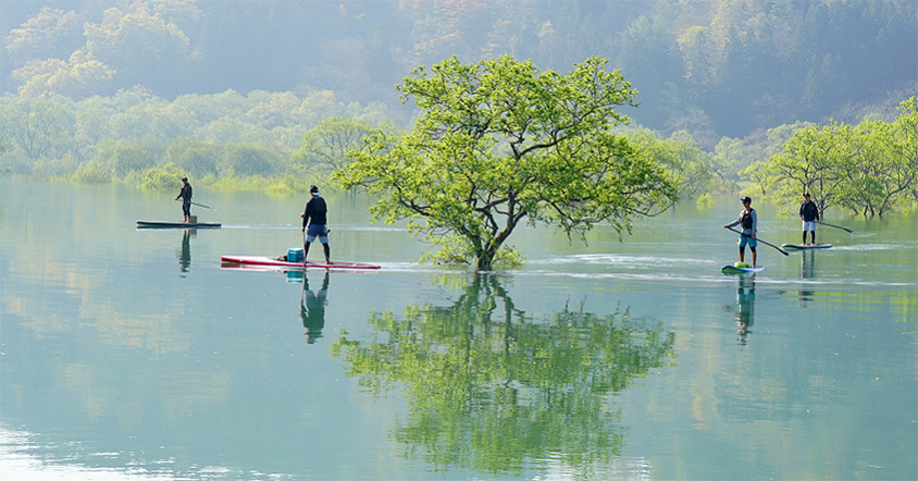 ひと月だけ現れる神秘の光景！絵のように幻想的な白川湖の水没林 山形