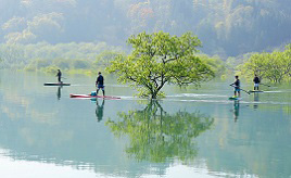 ひと月だけ現れる神秘の光景!絵のように幻想的な白川湖の水没林 山形県飯豊町