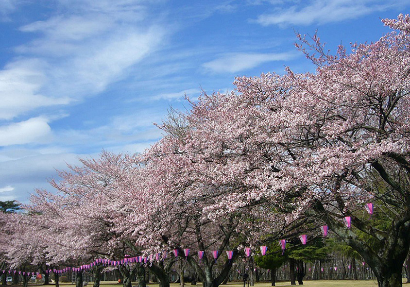 黒磯公園 ペット オファー