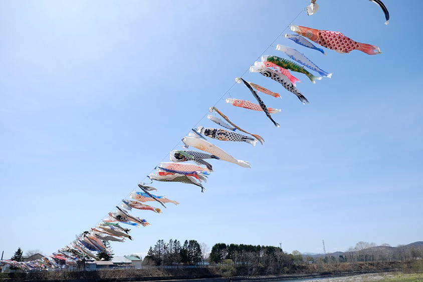 青空を舞う236匹！清流・歴舟川上を泳ぐ鯉のぼりを見に行こう 北海道