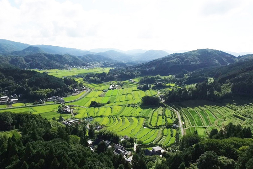風薫る季節 棚田やいちご狩り テラスカフェで新緑を楽しもう 大阪府能勢町 トヨタ自動車のクルマ情報サイト Gazoo 風薫る季節 棚田やいちご狩り テラスカフェで新緑を楽しもう 大阪府能勢町 トヨタ自動車のクルマ情報サイト Gazoo