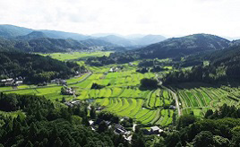 風薫る季節！棚田やいちご狩り、テラスカフェで新緑を楽しもう　大阪府能勢町