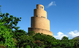 やんばるの風を感じる熱帯園や公園、森カフェへ！南国の自然を味わおう　沖縄県本部町