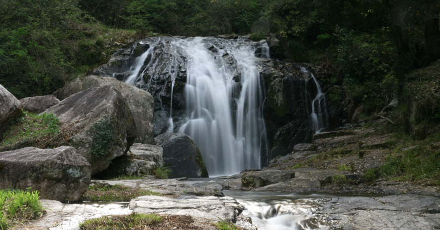 森の滝 facebook.png?la=ja-JP&rev=