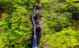 濃緑の神戸岩と三頭大滝をめぐるドライブで都内とは思えない自然を満喫！　東京都檜原村