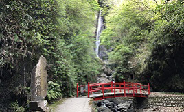 名水が流れ落ちる清らかスポット！洒水の滝へドライブ　神奈川県山北町