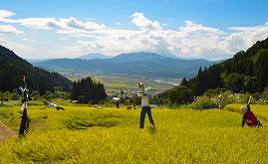 江戸時代に造られた石垣が支える！美しい里山の「福島棚田の里」長野県飯山市