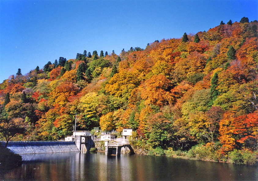 湖面に映る色鮮やかな紅葉！秋の芦津渓谷へドライブ 鳥取県智頭町