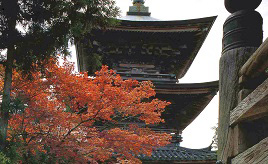 秋真っ盛り！国生みの島・淡路の紅葉スポットや話題のカフェへ　兵庫県洲本市