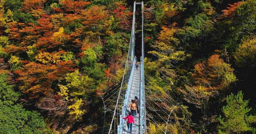 絶景を渡る吊り橋にドキドキ！紅葉と滝の白水自然森林公園 熊本県水