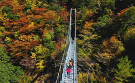 絶景を渡る吊り橋にドキドキ！紅葉と滝の白水自然森林公園　熊本県水上村