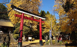 イチョウが美しい古社や自然公園、夕日スポット！晩秋のドライブへ出かけよう　鹿児島県錦江町