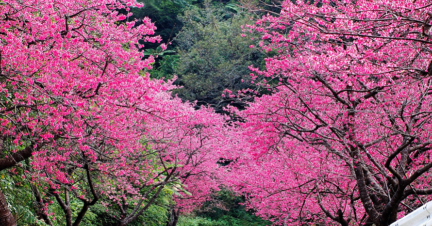 facebook.png?la=ja-JP&rev=